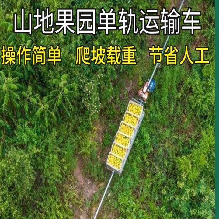 山地果园单轨运输车汽油动力货物运输轨道搬运车农用轨道车