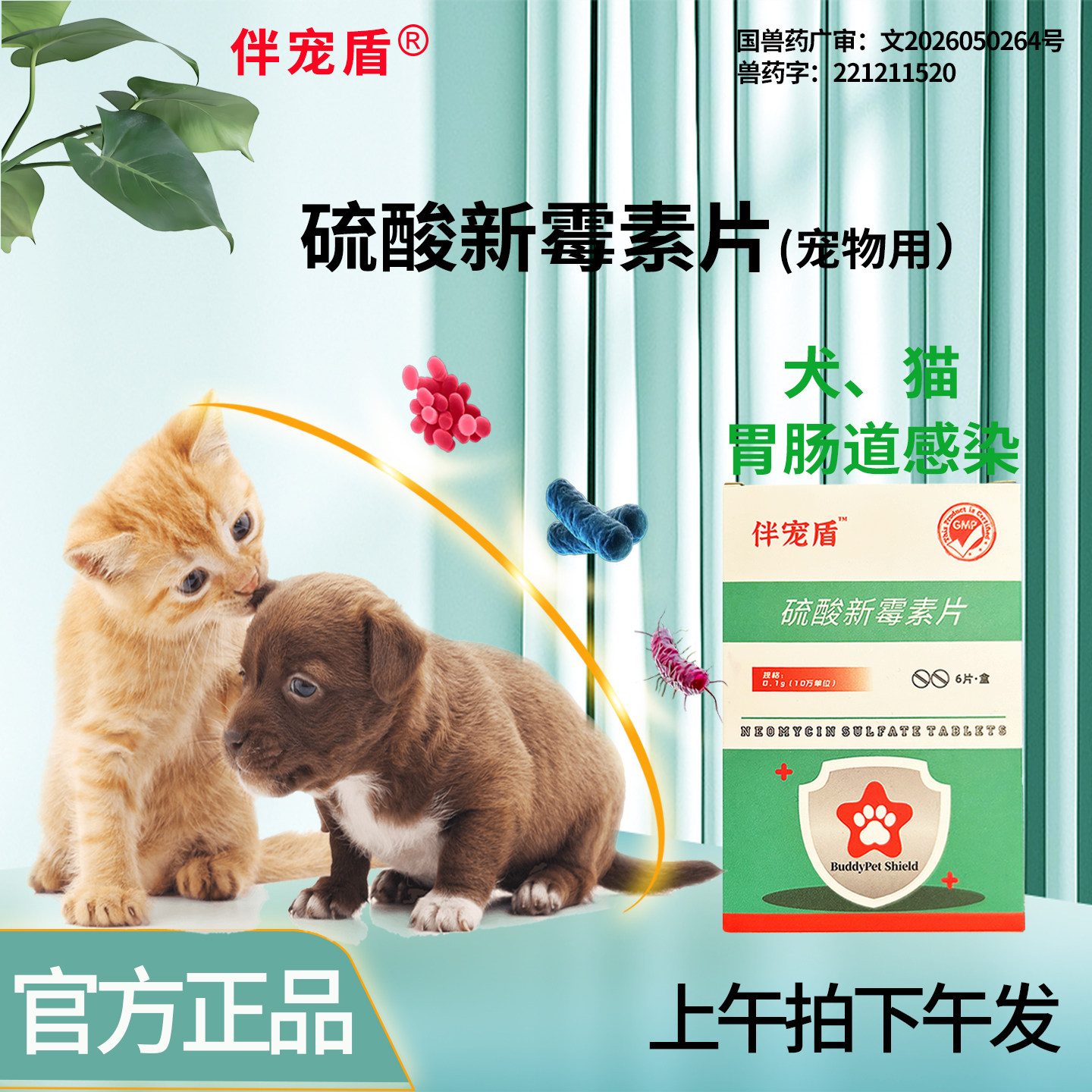 伴宠盾宠物胃肠道感染