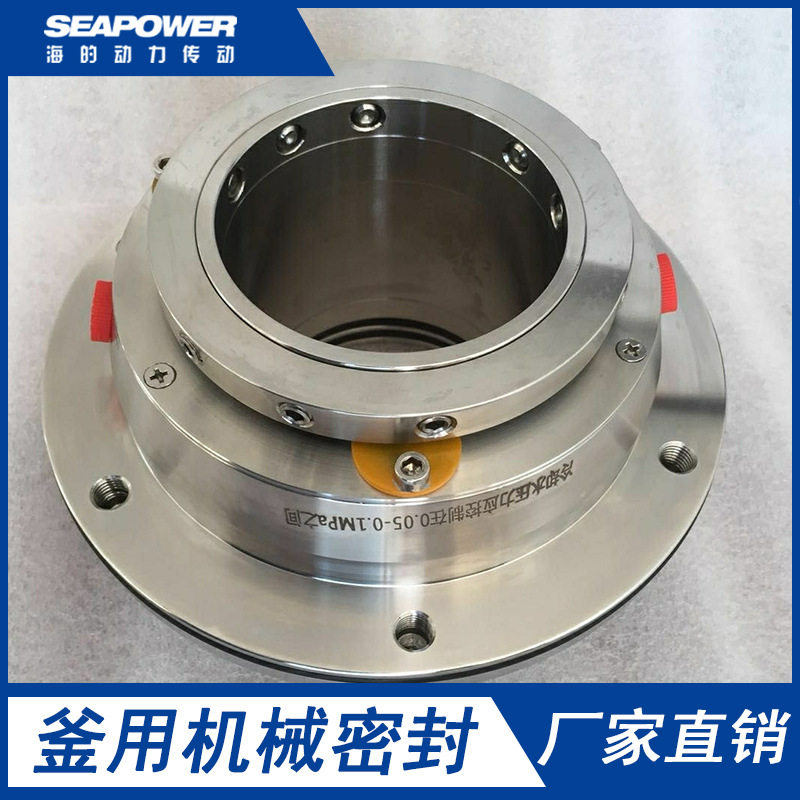 300ZJ-I-A57集装式泵用机械密封