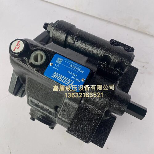 YEOSHE泵胆V8A1R10X/15A1RY10X