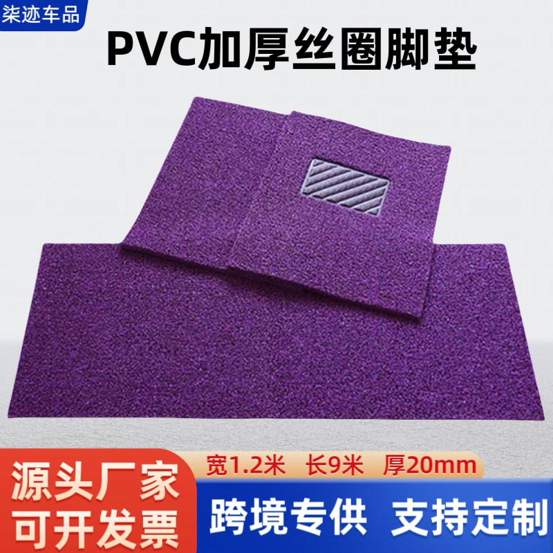 汽车通用丝圈脚垫套装 防滑抗磨pvc加厚N加密20mm地垫现货