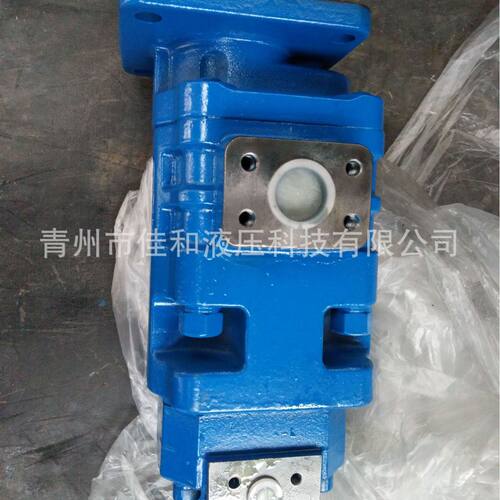 9F561-54A090000A0双联齿轮泵