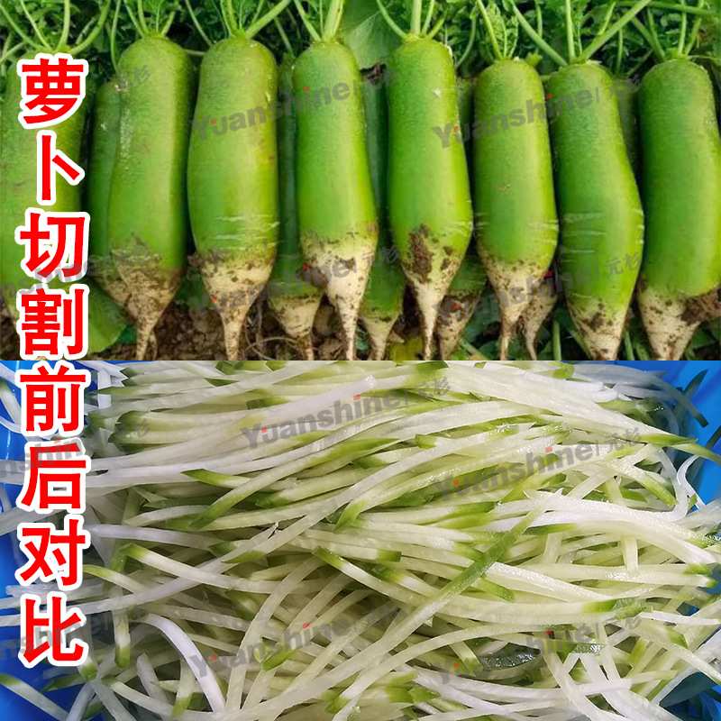 多功能离心式芒果切丝机白萝卜切丝机大型全自动切丝机
