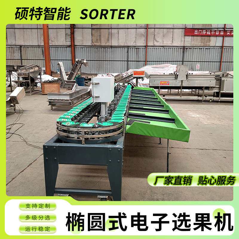 香瓜水果称重分选机 西红柿椭圆式重量分拣机 石榴等级选果机