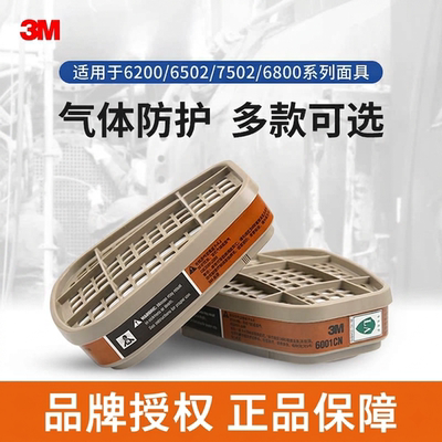 3M防甲醛多气体滤毒盒6001-6006
