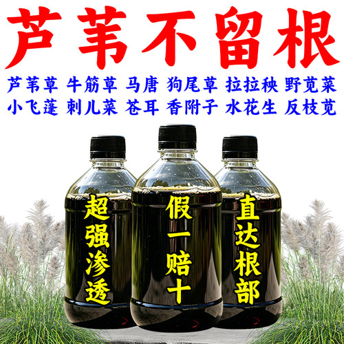 开荒芦苇渗透剂茅草专打芦苇快速干枯土壤保湿剂连根清根烂草枯