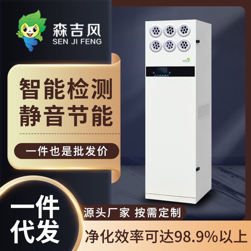 柜式新风热交换除雾霾PM2.5