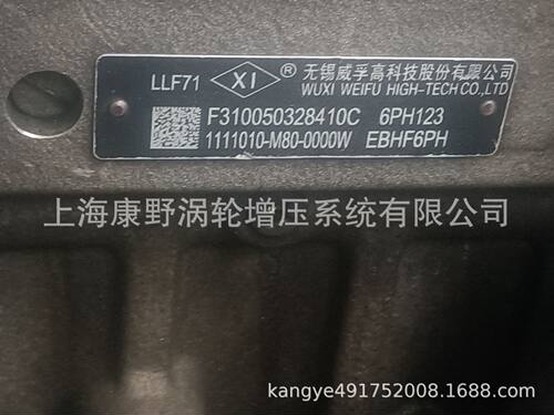 喷油泵6PH123和4PW701A1111100-A08-YFD10和*1111100EA12-YFD10