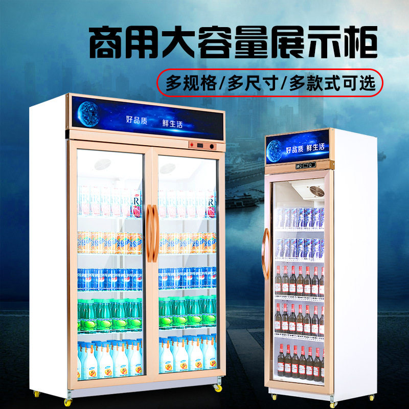 外贸出口冷藏展示柜立式双门铜管商用饮料冷饮蔬菜展示fridge