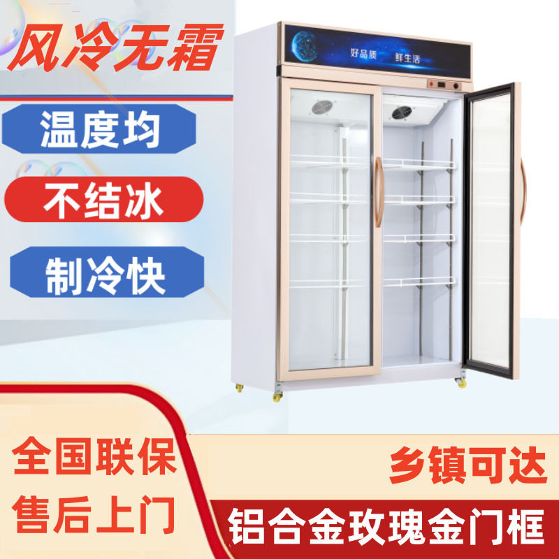 冷藏柜保鲜展示柜商用立式啤酒饮料冰箱展示柜直冷风冷冰柜