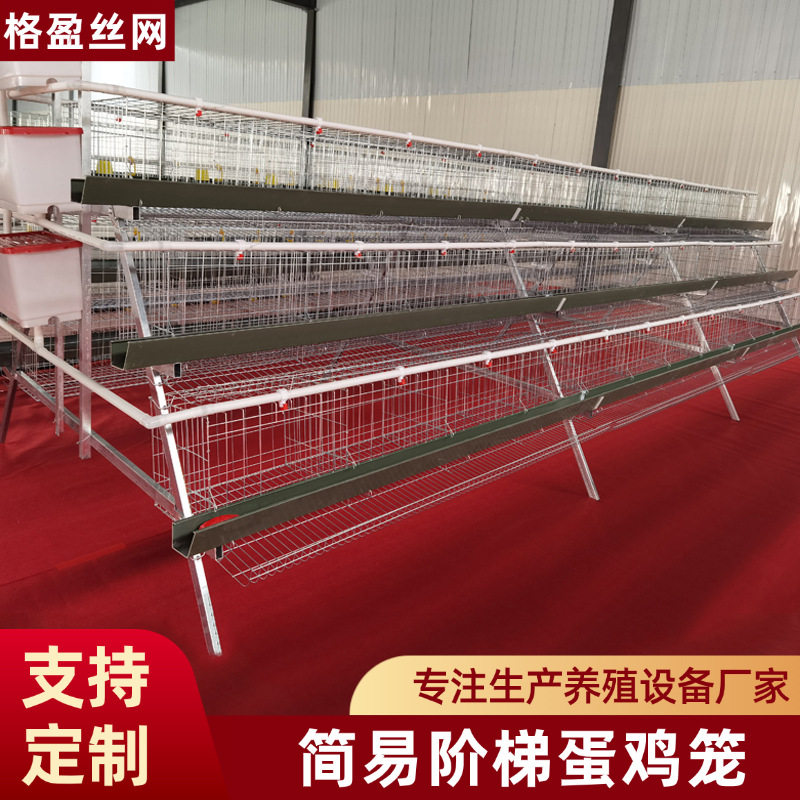 镀锌丝阶梯式蛋鸡笼三层四门