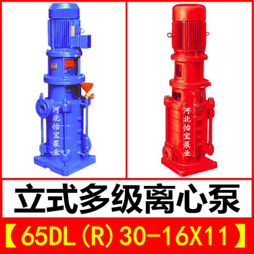 65DL30-16X11立式多级泵DLR型热水增压管道离心泵 高层建筑给水泵