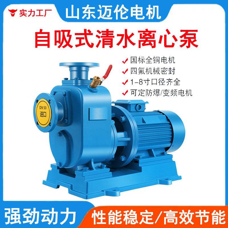 BZZW无堵塞排污泵管道离心泵灌溉380v污水泵抽水泵自吸式变频
