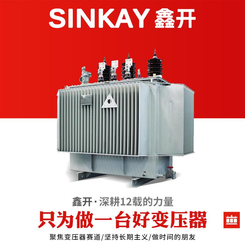 s13-250kva315kw800千瓦10kv380伏400油浸式大功率全铜电力变压器 - 实物图