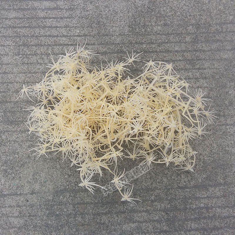 厂家 仿真植物仙人掌刺 假塑料仙人球 插刺配件