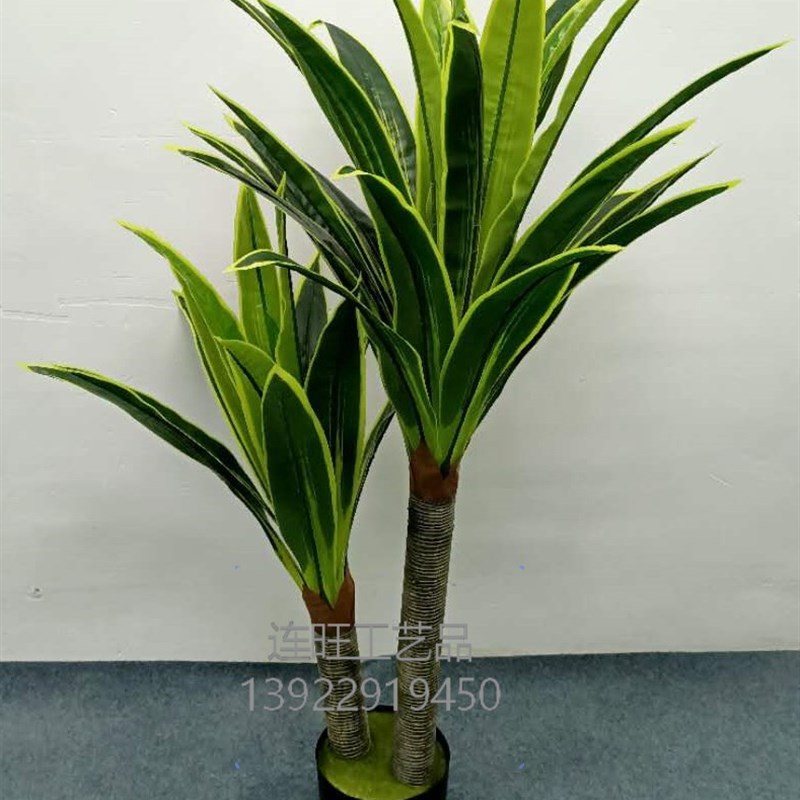 大巴西仿真植物客厅落地盆栽风水招财树酒店装饰客厅.办公室盆栽