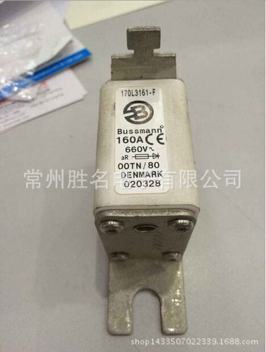 BUSSMANN170L315880A熔断器