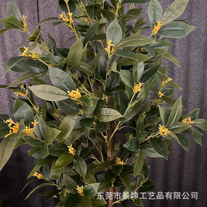 仿真桂花树室内造景塑料盆栽装饰办公室落地摆件庭院景观拍摄道具