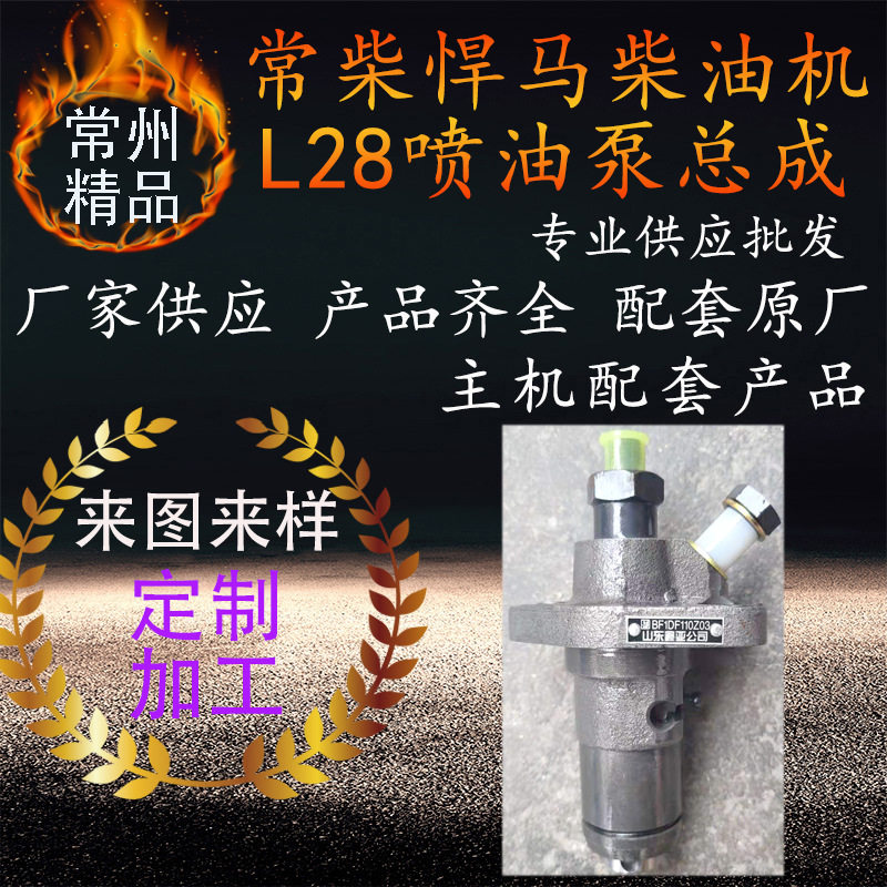 山东鑫亚常柴悍ma柴油机喷油泵总成l28常柴柴油机喷油泵配件eh