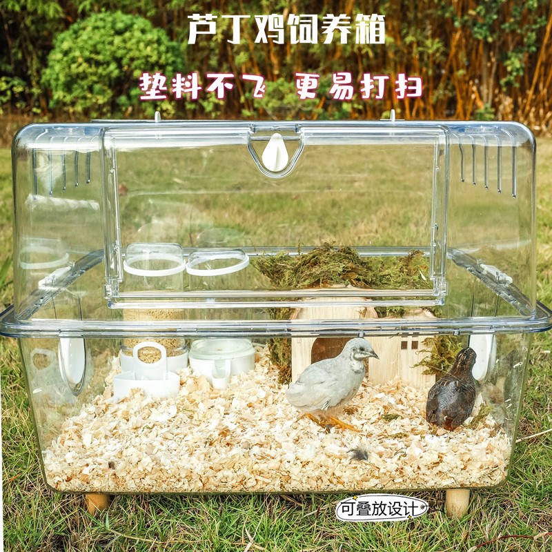 透明亚克力仓鼠笼金丝熊刺猬通心粉花枝鼠双子芦丁鸡饲养箱43