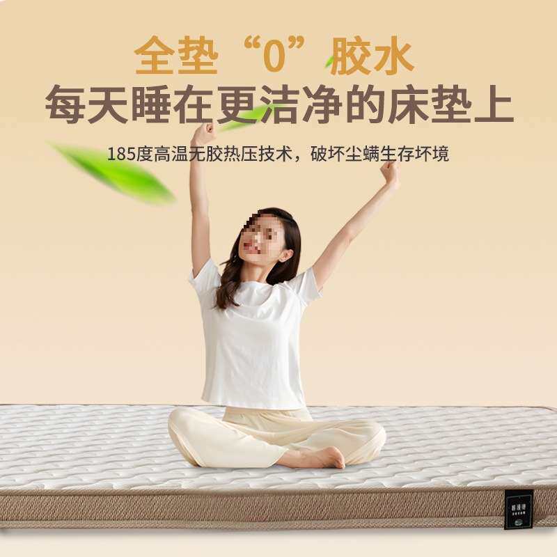 加硬纯椰粽榈护脊腰家用儿童软乳胶10公分新品天然棕垫床垫子床垫