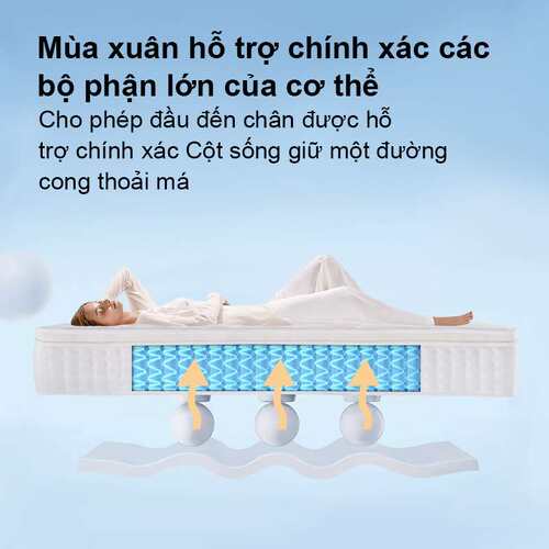 Gi??ng n?m  Latex mattress with springs 酒店乳胶弹簧床垫