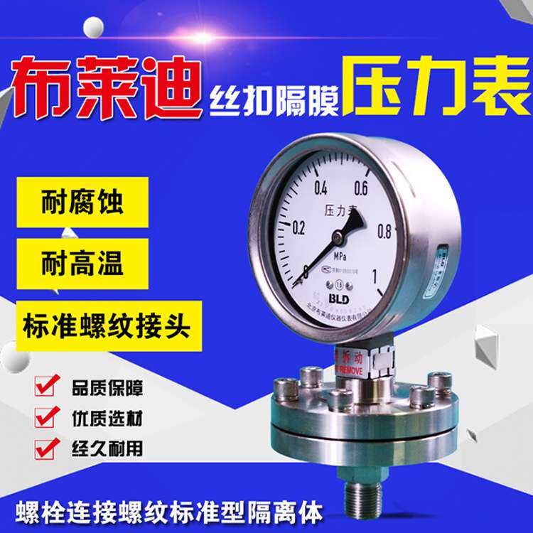 北京布莱迪不锈钢隔膜压力表YTNP-100H丝扣隔膜耐震压力表螺纹M20