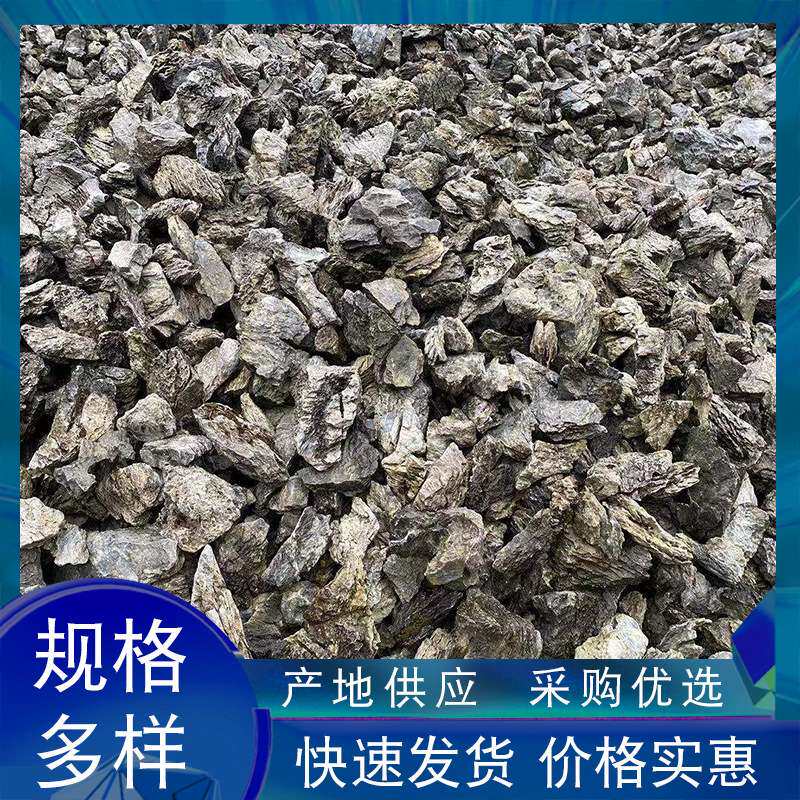 水族青龙石 天然盆景石英石园林景观石假山石庭院装饰龟纹石
