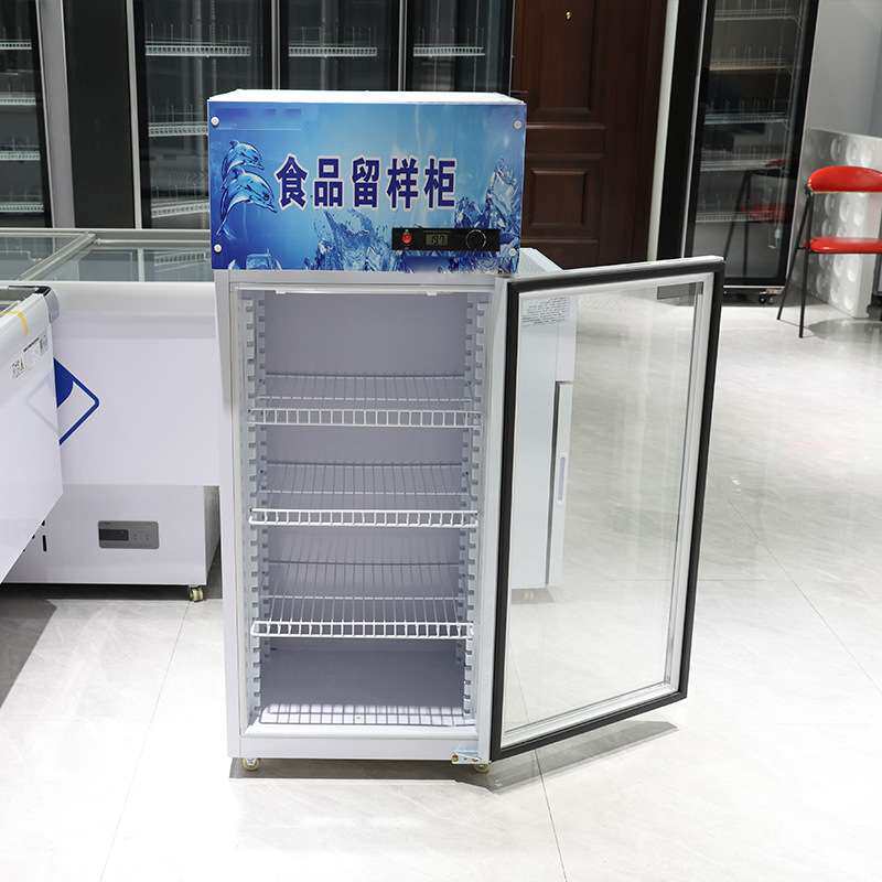 食品留样柜冷藏保鲜幼儿园带锁餐厅食堂单门家用冰箱商用展示柜