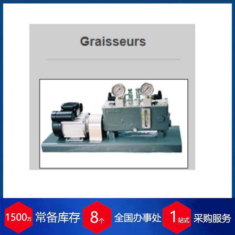 供应法国Quervel-Rauzy柱塞润滑泵 630-25-D-720-412/N