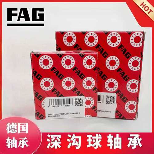 FAG德国进口轴承6308-C-2HRS  2Z -C016-C3   电机专用 原装 高速