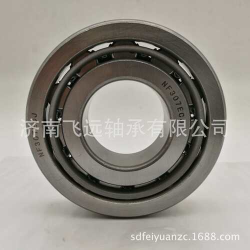 NF1036X2WCM/P5非标圆柱滚子轴承 12736