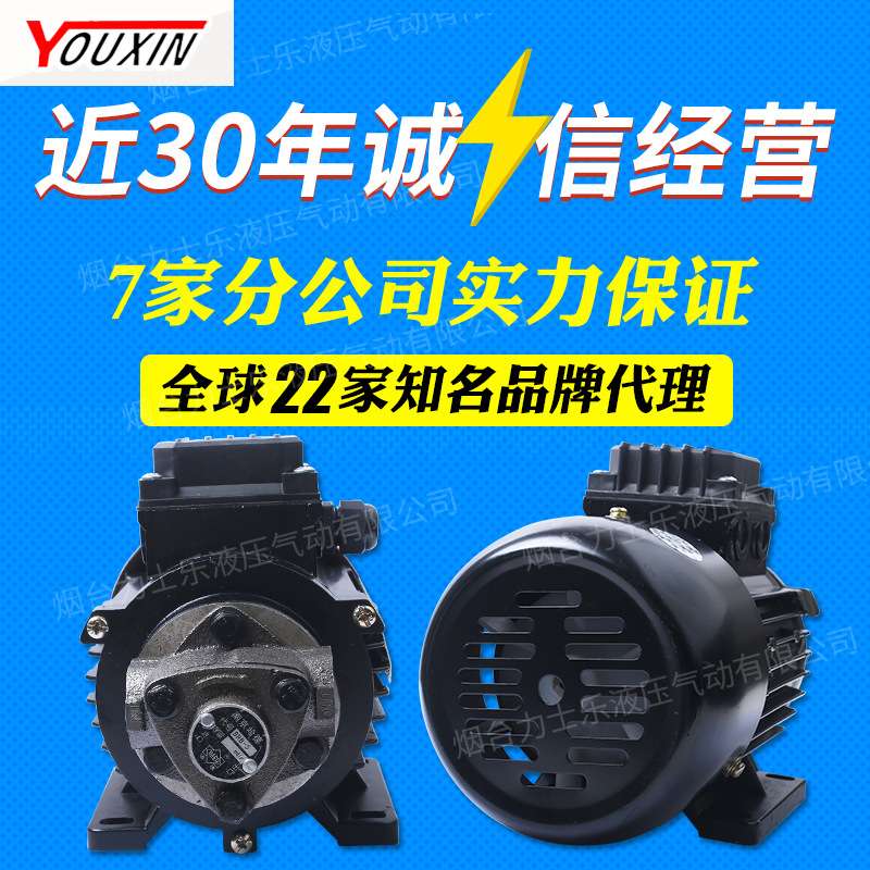 南京哈德摆线泵组H3725-4 润滑泵组BRB系列泵组