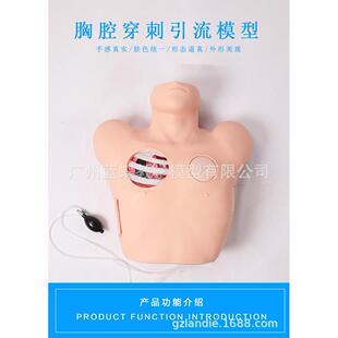 L66胸腔穿刺引流模型 胸腔穿刺模型 气胸液胸闭式处理模型