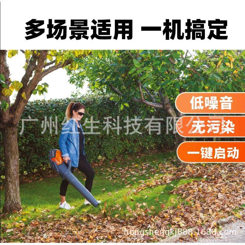 意大利欧玛BVi60锂电吹风机鼓风机庭院别墅吹风机道路吹尘机