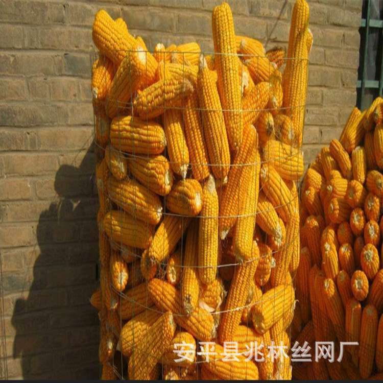河北厂家现货销售圈玉米网6*9网孔粮仓网镀锌铁丝网价格优惠