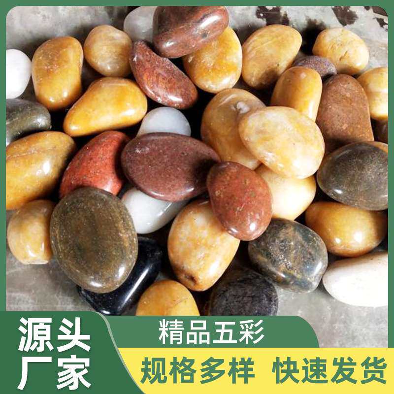 原厂供应彩色石 园林庭院装饰造景铺路面鹅卵石鱼缸花盆石头子