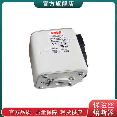 170M6511 6512 6513 6514 6515 巴斯曼bussmann快速熔断器保险丝