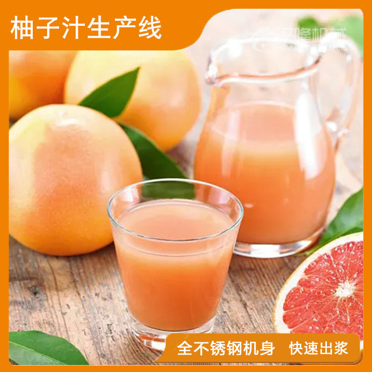 柚子果汁生产线蜜柚加工设备水果清洗去皮去籽榨汁生产线