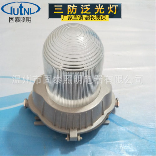 应急泛光灯防水防尘防眩吸顶式