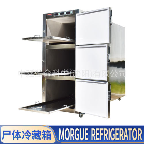 Bodystoragefreezer三层太平柜