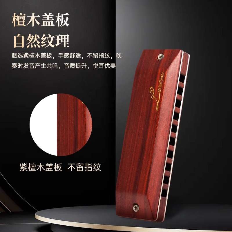 FEIFAN飞繁F901十孔木格学生初学者布鲁斯蓝调口琴专业演奏乐器