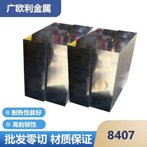 模具钢8407钢板铣磨精光板压铸模嵌入件型芯模仁FT416硬料