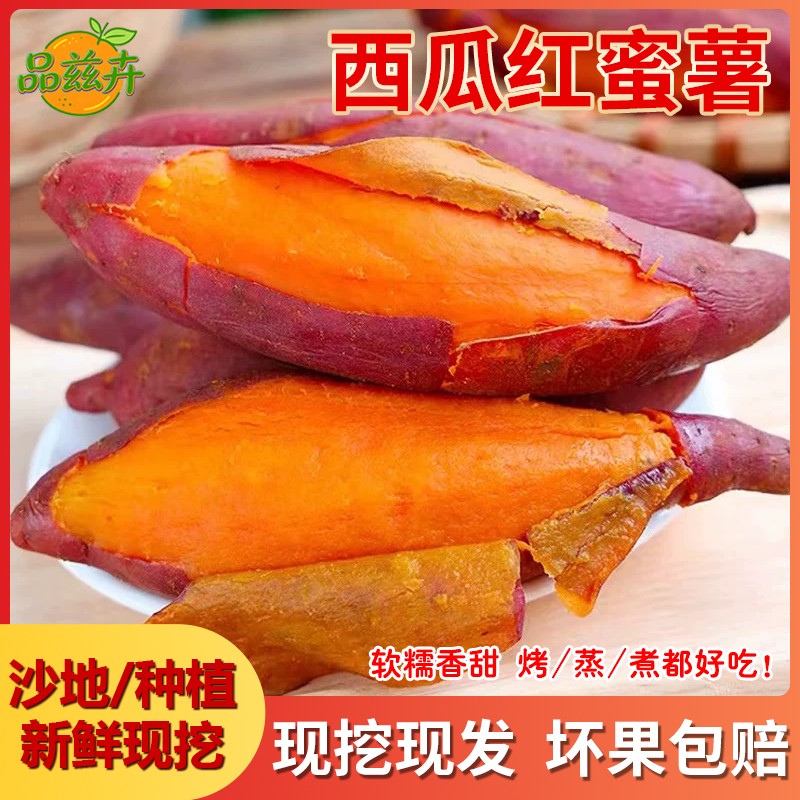 品兹卉红蜜薯新鲜现挖沙地种植软糯香甜烤蒸煮都好吃现挖现发