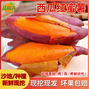 【品兹卉】红蜜薯新鲜现挖3斤