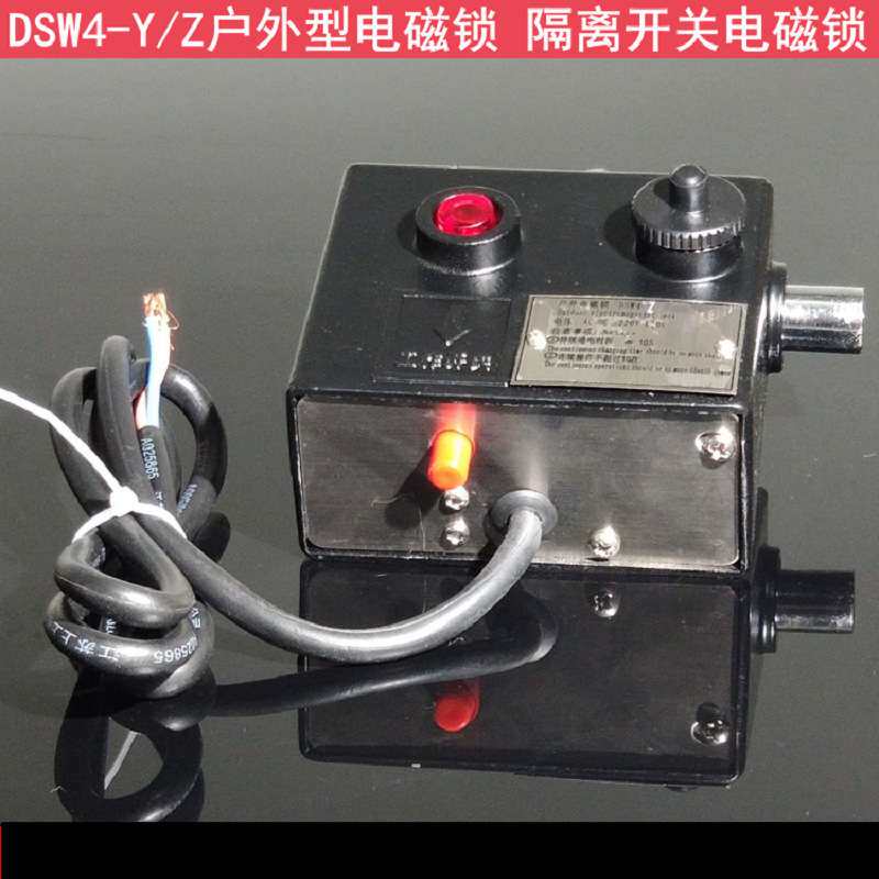 DSW4-Z(Y)户外电磁锁DSW1-II SW4-Y/Z J-D-Y-D 户外电磁锁 接地电