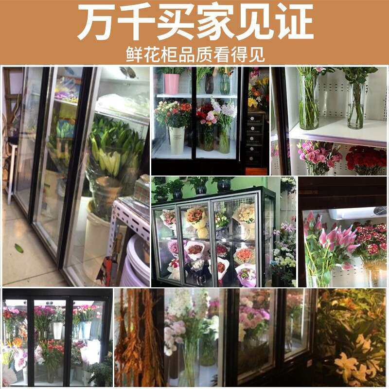 鲜花保鲜柜商用风冷双开门立式花店玻璃冰柜植物柜陈列冷藏展示柜