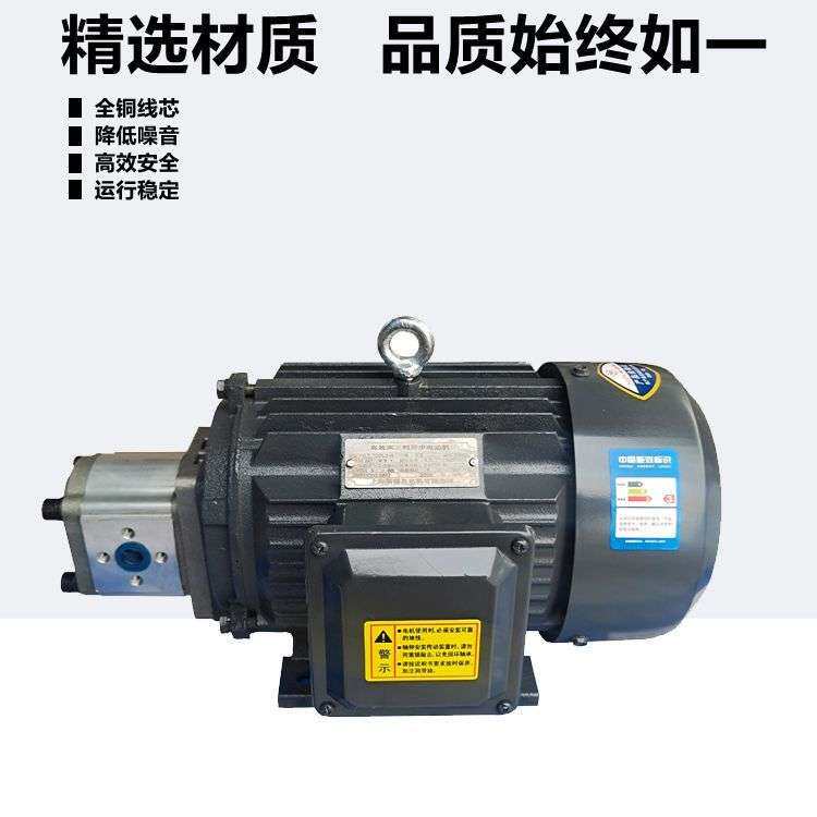 380V三相电机齿轮泵液压油泵总成1.5KW2.2KW3.0KW内轴直插式电机