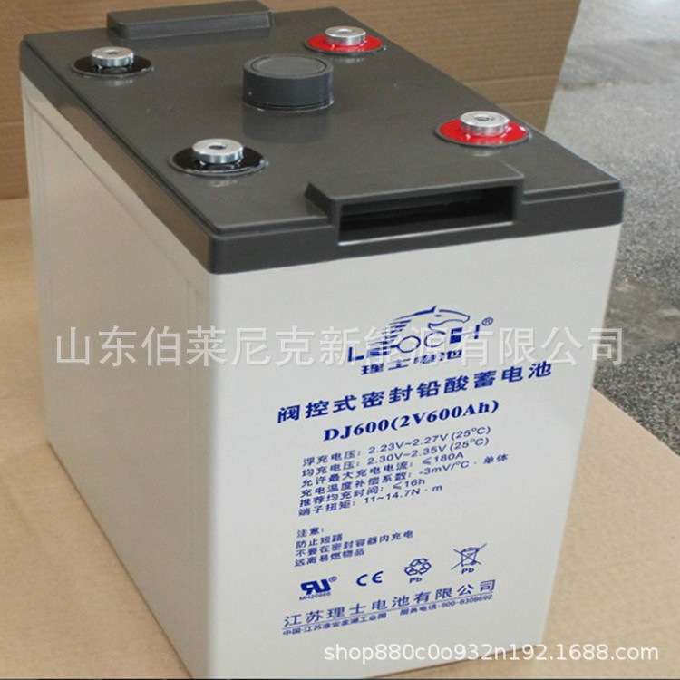 LEOCH/理士铅酸蓄电池DJ1000 2V1000AH 48V发电机组2V500AH太阳能