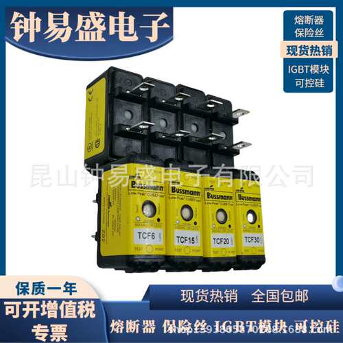 BUSSMANN延时熔断器TCF6 /15 / 20 / 30RN   600V